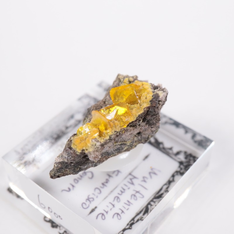 �ᥭ������ ����ե��ʥ���