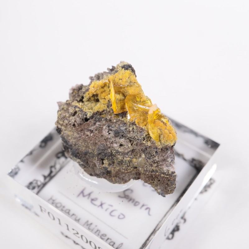 �ᥭ������ ����ե��ʥ���