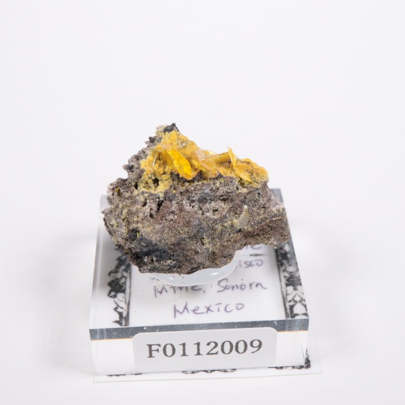 �ᥭ������ ����ե��ʥ���