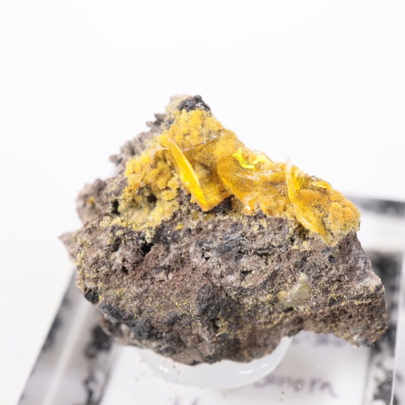 �ᥭ������ ����ե��ʥ���