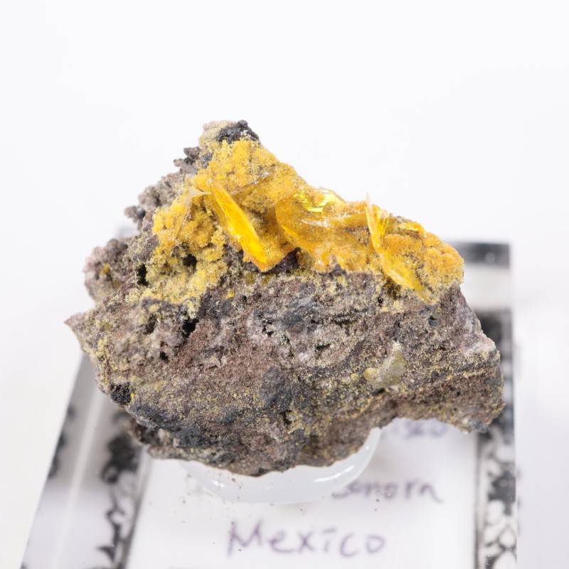 �ᥭ������ ����ե��ʥ���