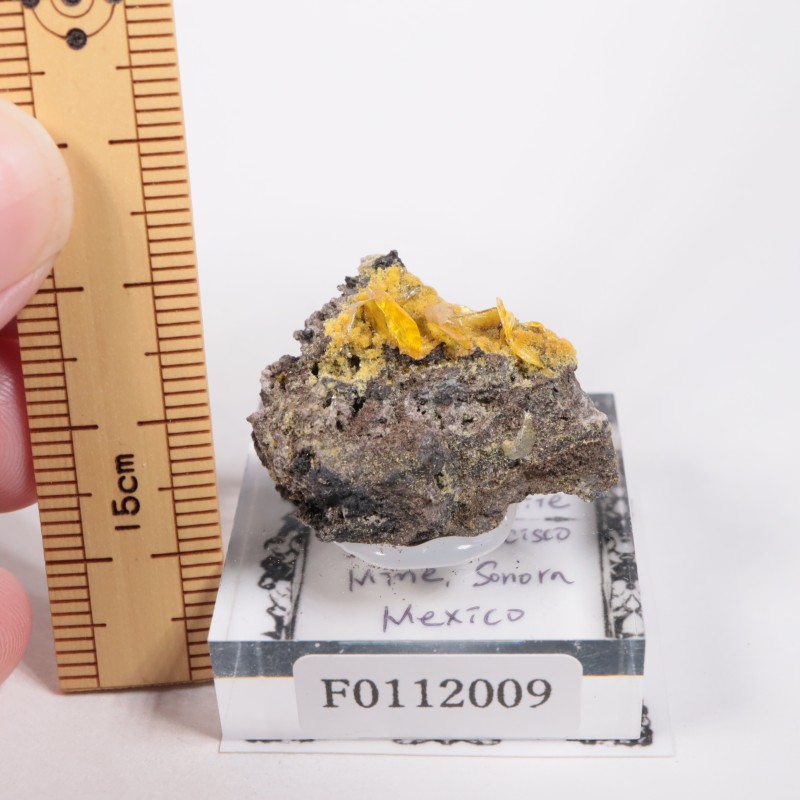 �ᥭ������ ����ե��ʥ���