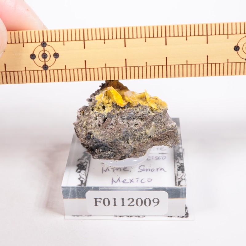 �ᥭ������ ����ե��ʥ���