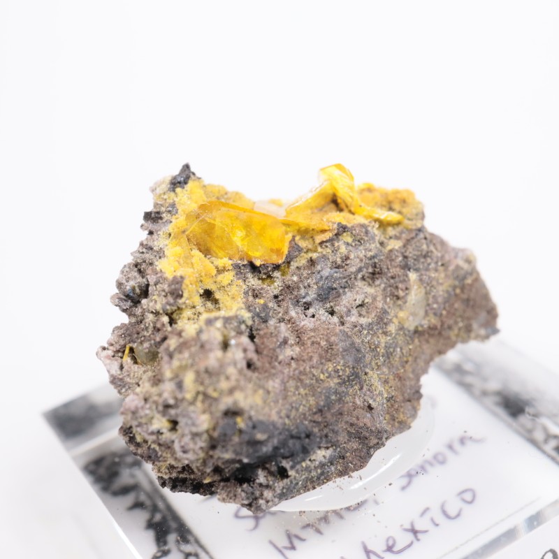 �ᥭ������ ����ե��ʥ���