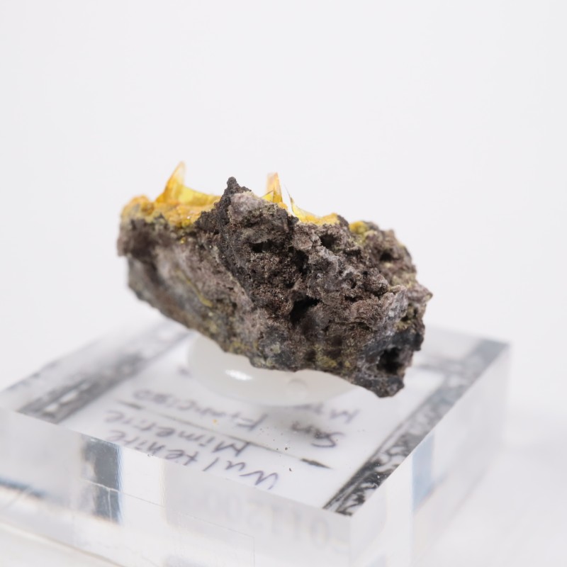 �ᥭ������ ����ե��ʥ���