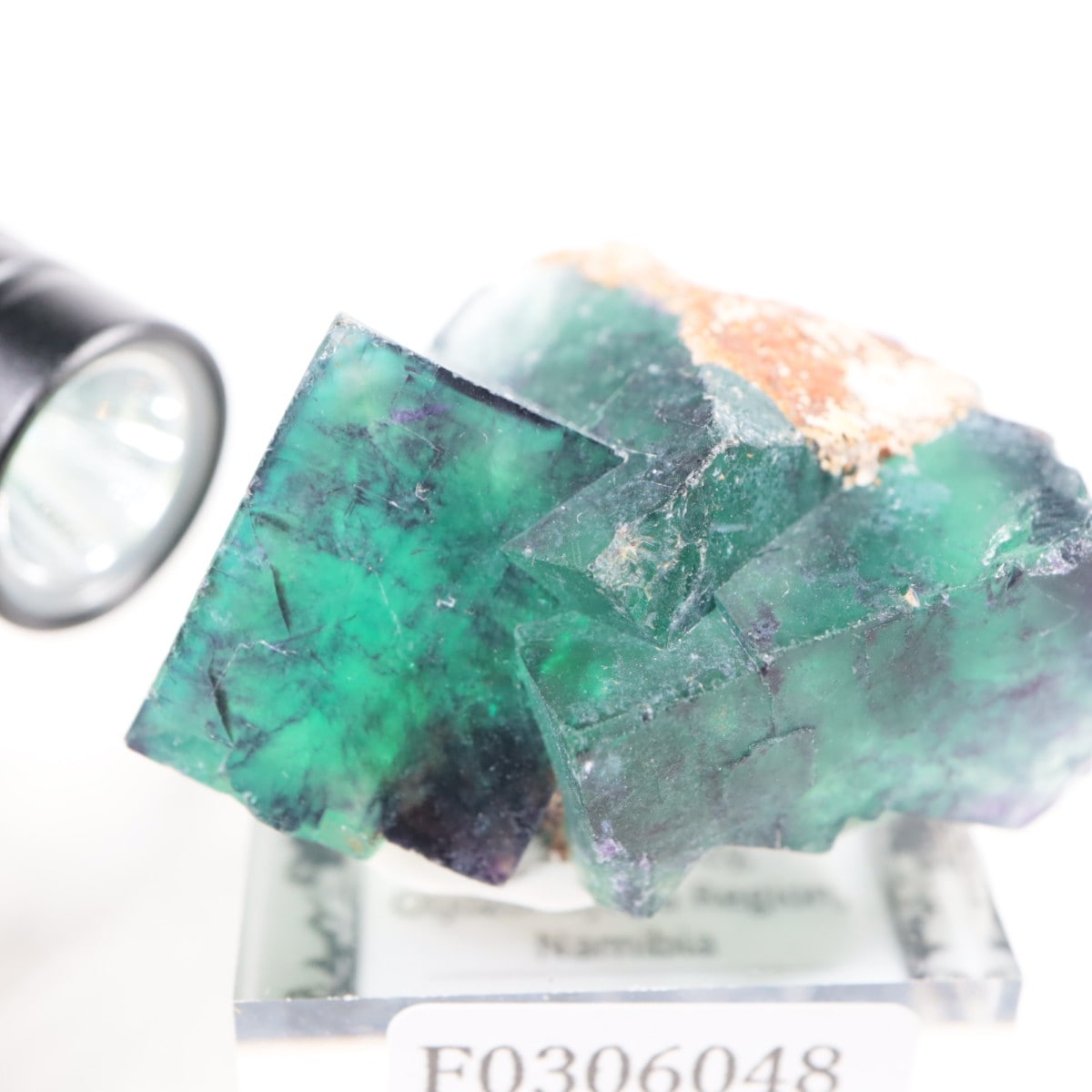 �����륹�ۻ��� �ե����饤��