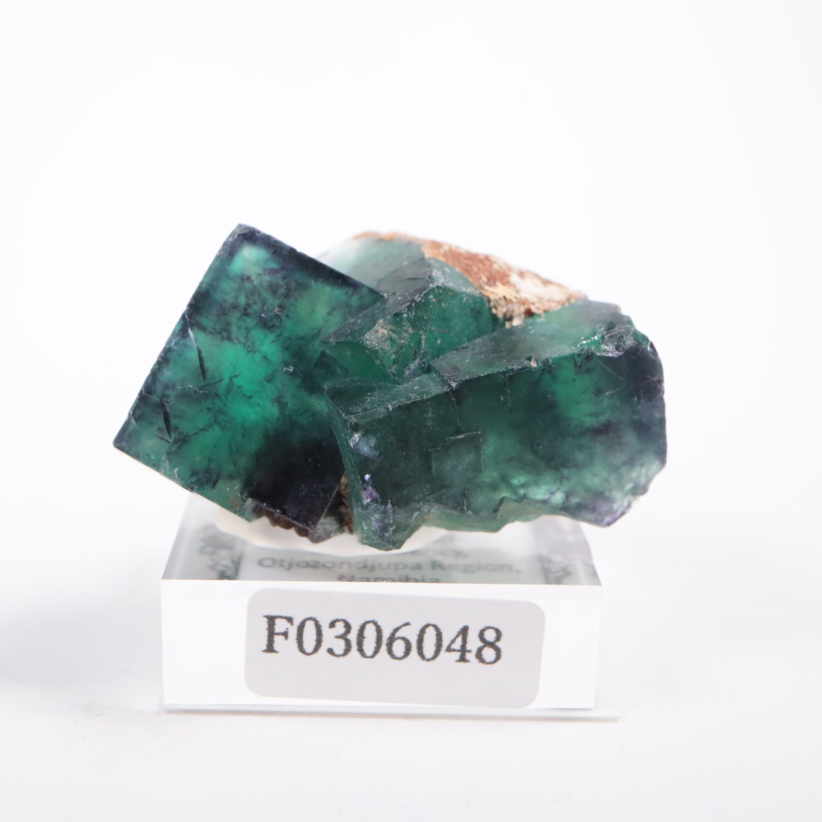 �����륹�ۻ��� �ե����饤��