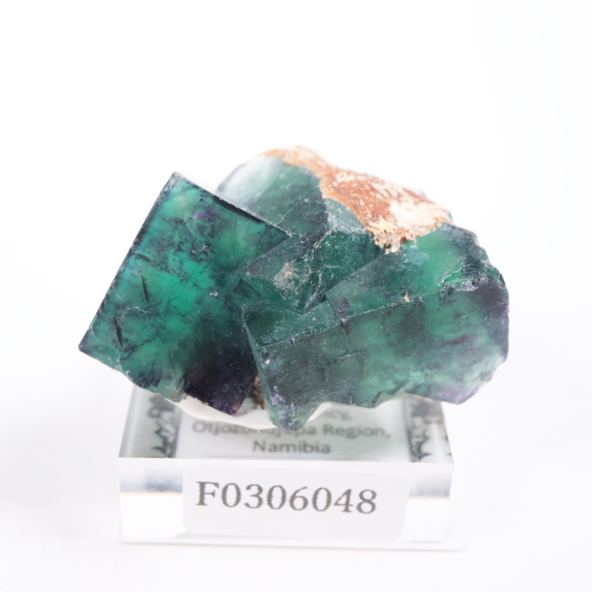 �����륹�ۻ��� �ե����饤��