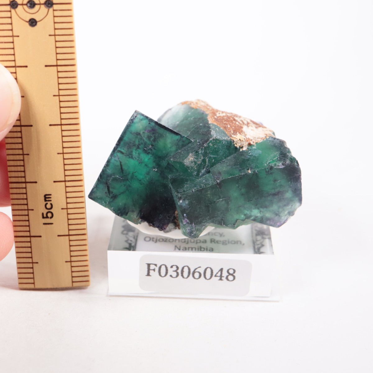 �����륹�ۻ��� �ե����饤��