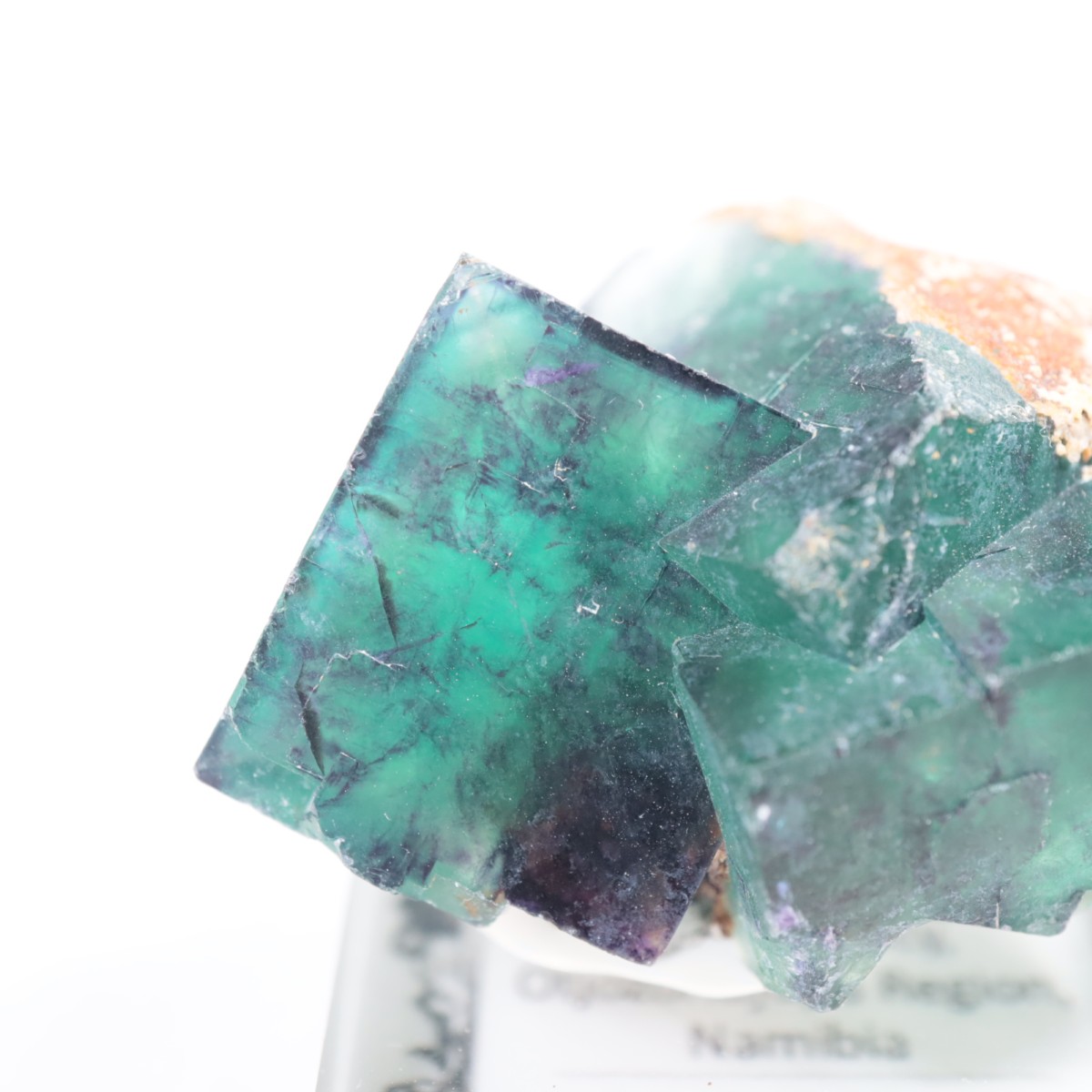 �����륹�ۻ��� �ե����饤��