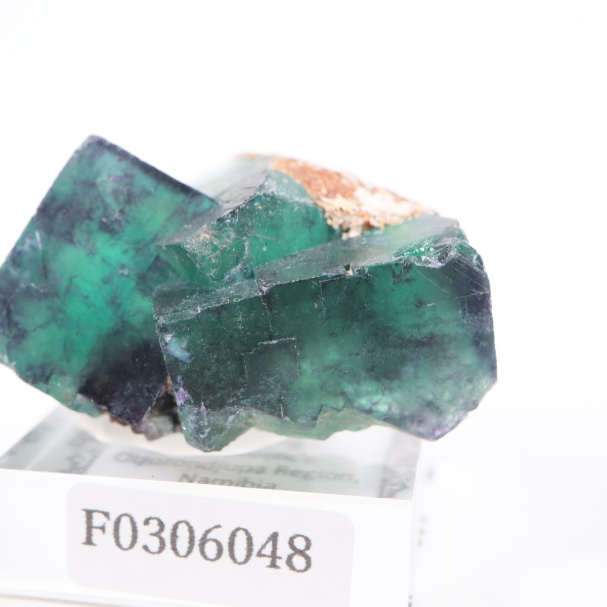 �����륹�ۻ��� �ե����饤��