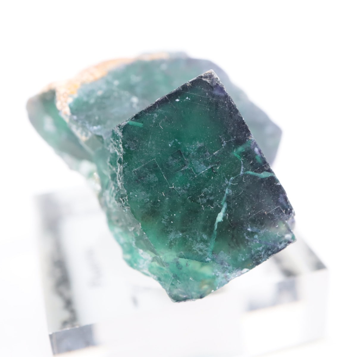 �����륹�ۻ��� �ե����饤��