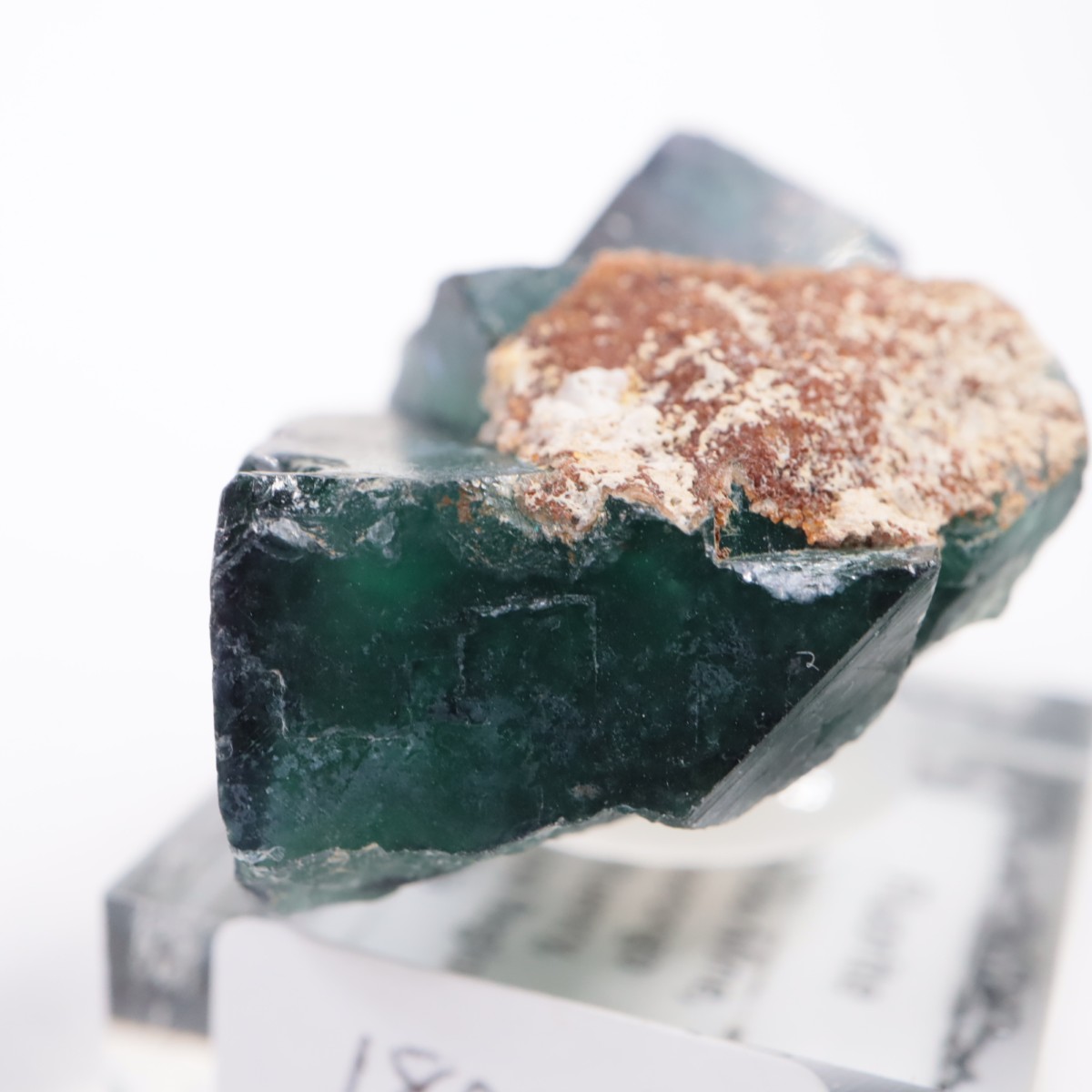 �����륹�ۻ��� �ե����饤��