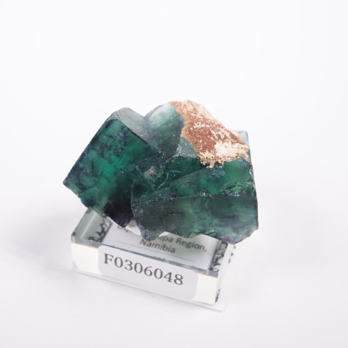 �����륹�ۻ��� �ե����饤��