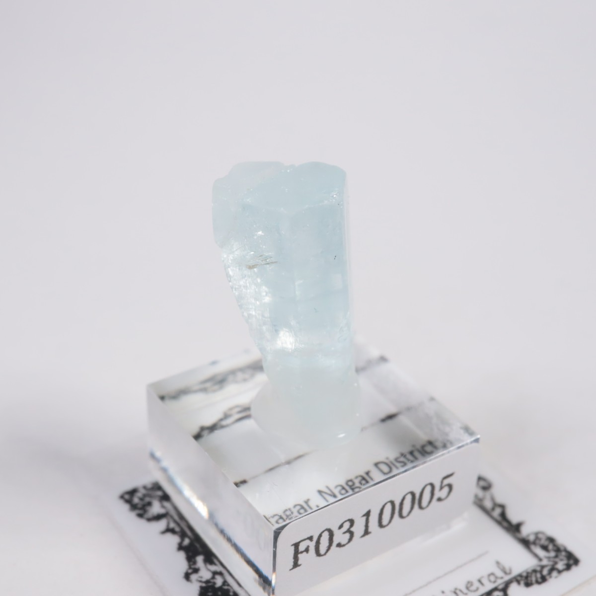 �ѥ������� �٥��