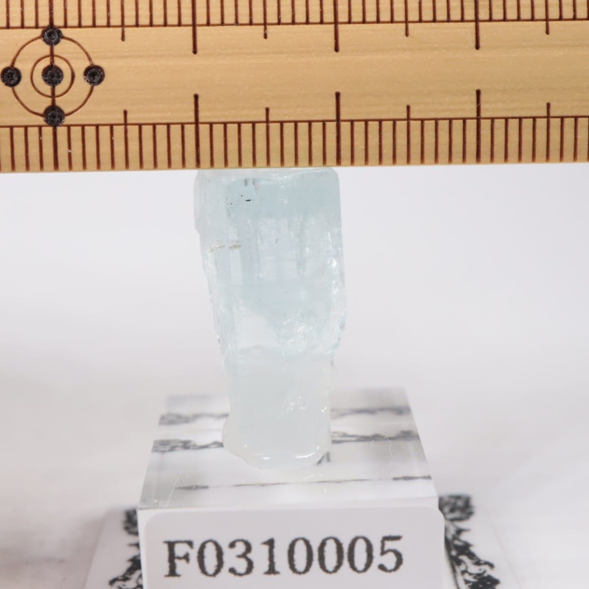 �ѥ������� �٥��