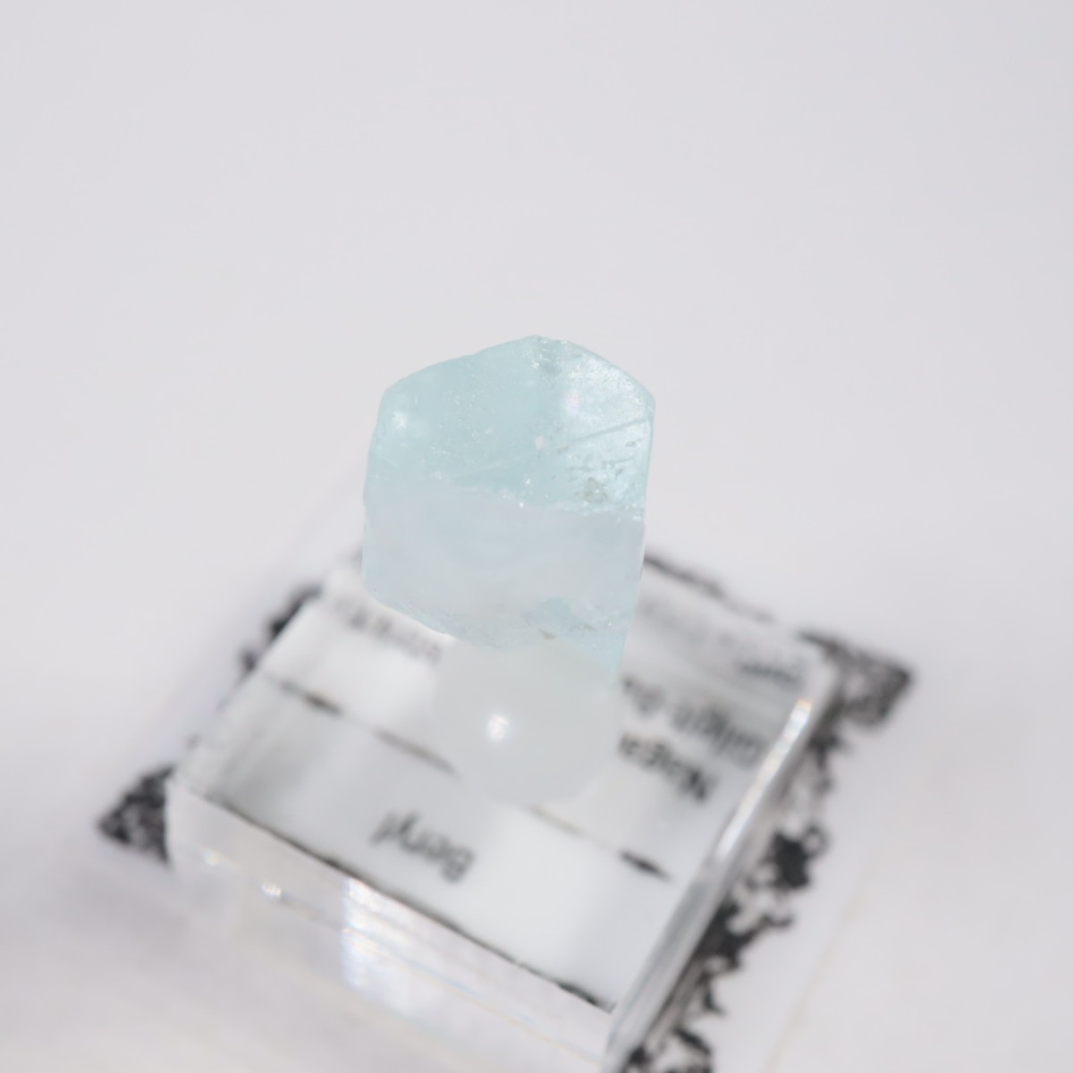 �ѥ������� �٥��