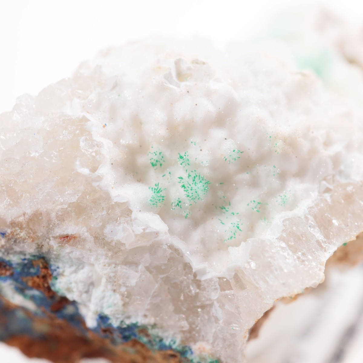 ���꥾�ʽ� �ޥ饫���ȡ����륵����