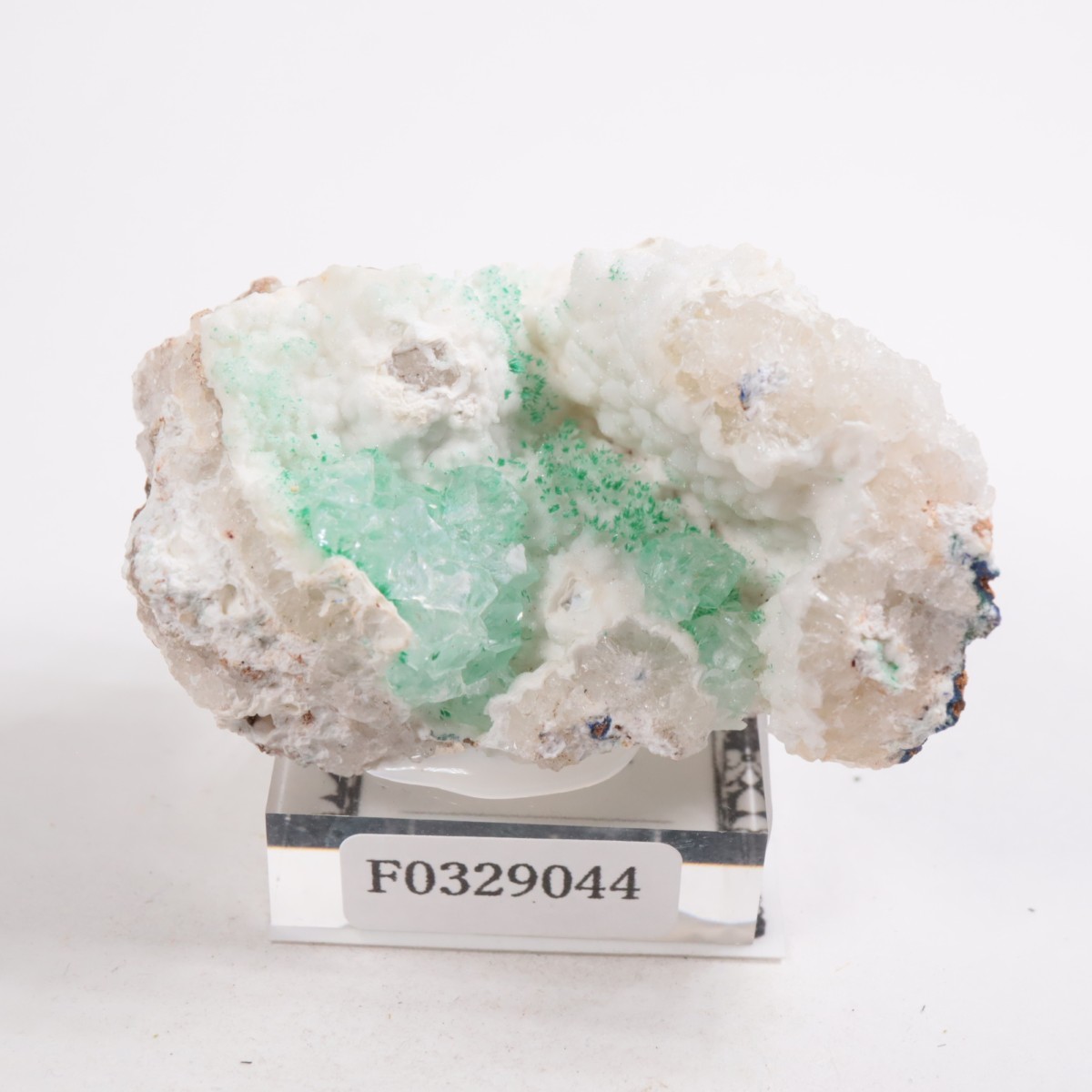 ���꥾�ʽ� �ޥ饫���ȡ����륵����