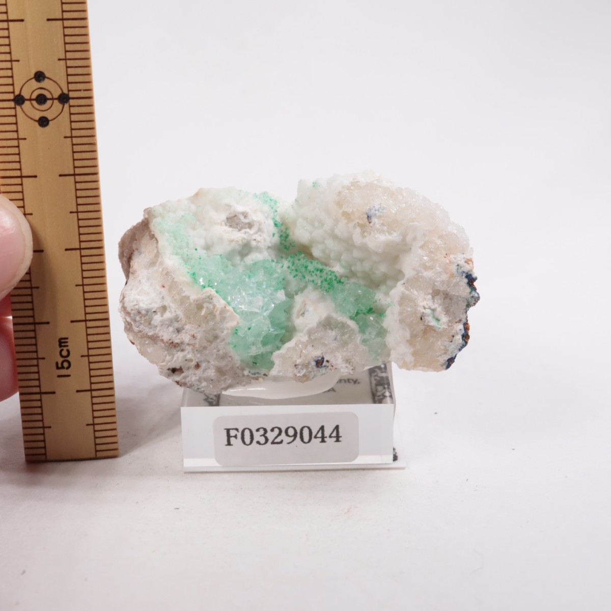 ���꥾�ʽ� �ޥ饫���ȡ����륵����