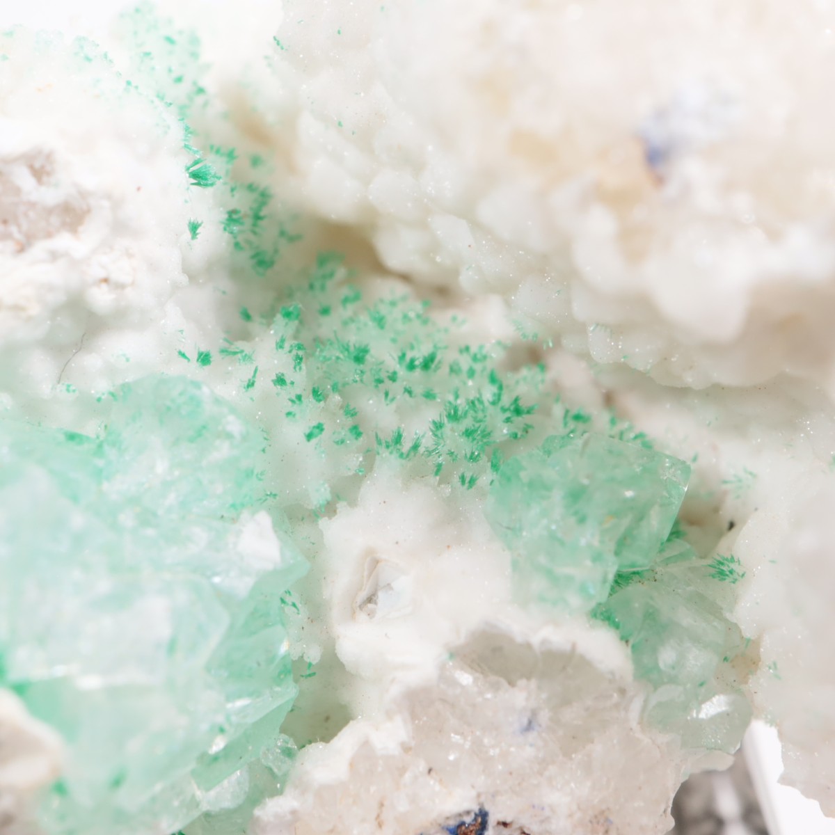 ���꥾�ʽ� �ޥ饫���ȡ����륵����