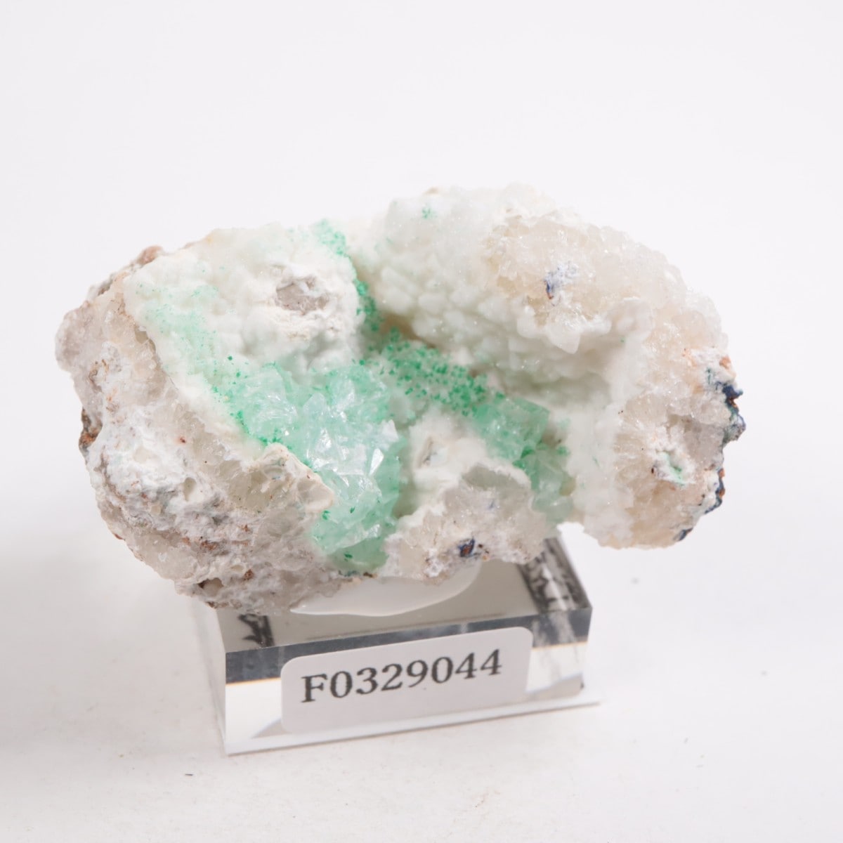 ���꥾�ʽ� �ޥ饫���ȡ����륵����