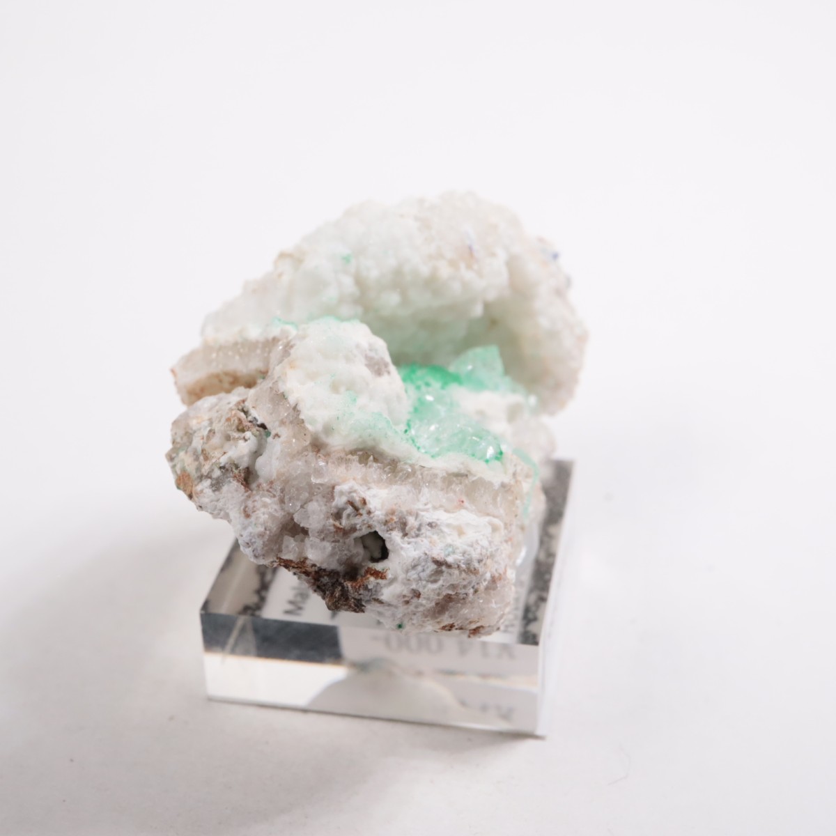 ���꥾�ʽ� �ޥ饫���ȡ����륵����