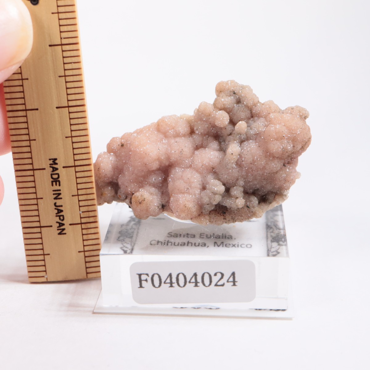 �ᥭ������ �����ɥ���������