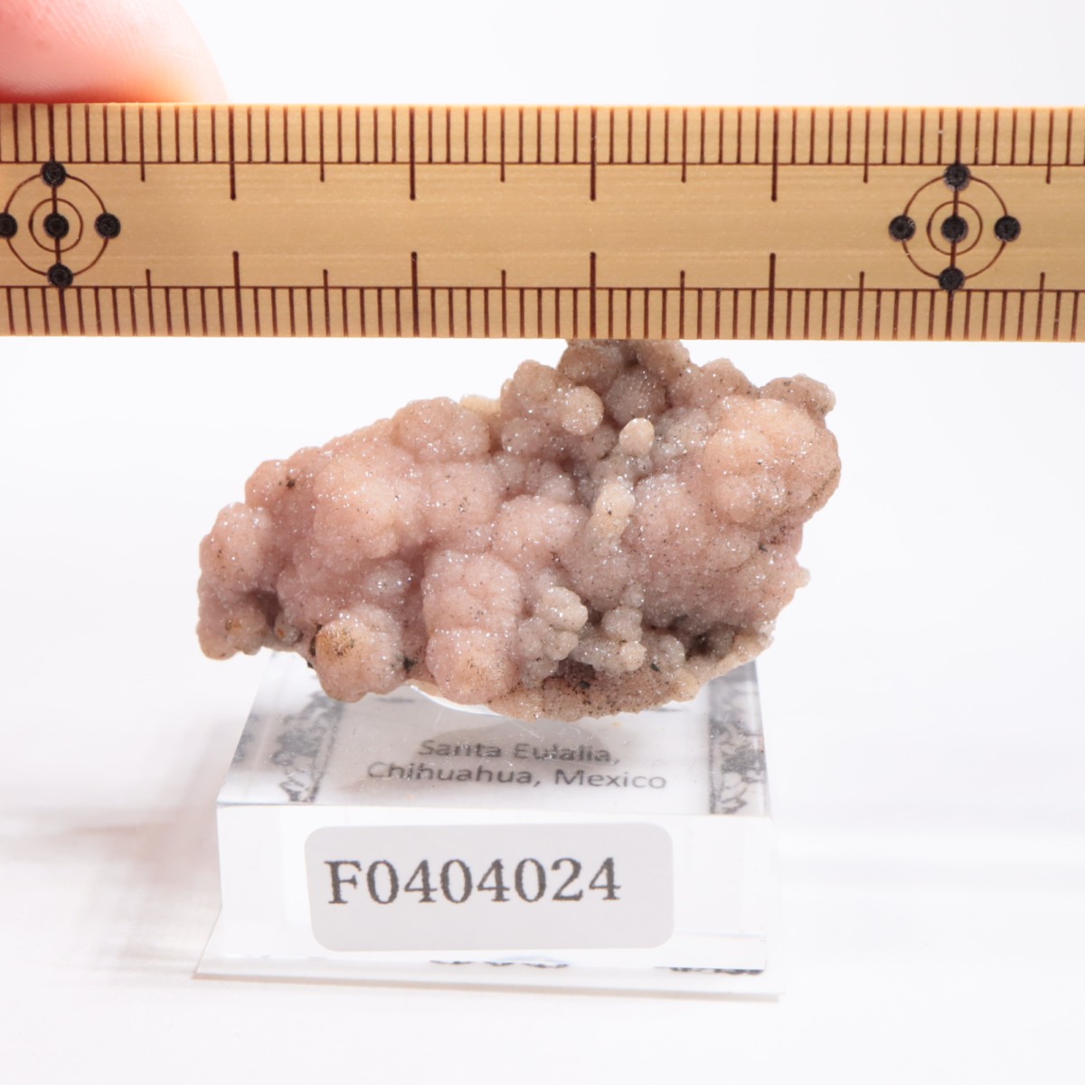 �ᥭ������ �����ɥ���������