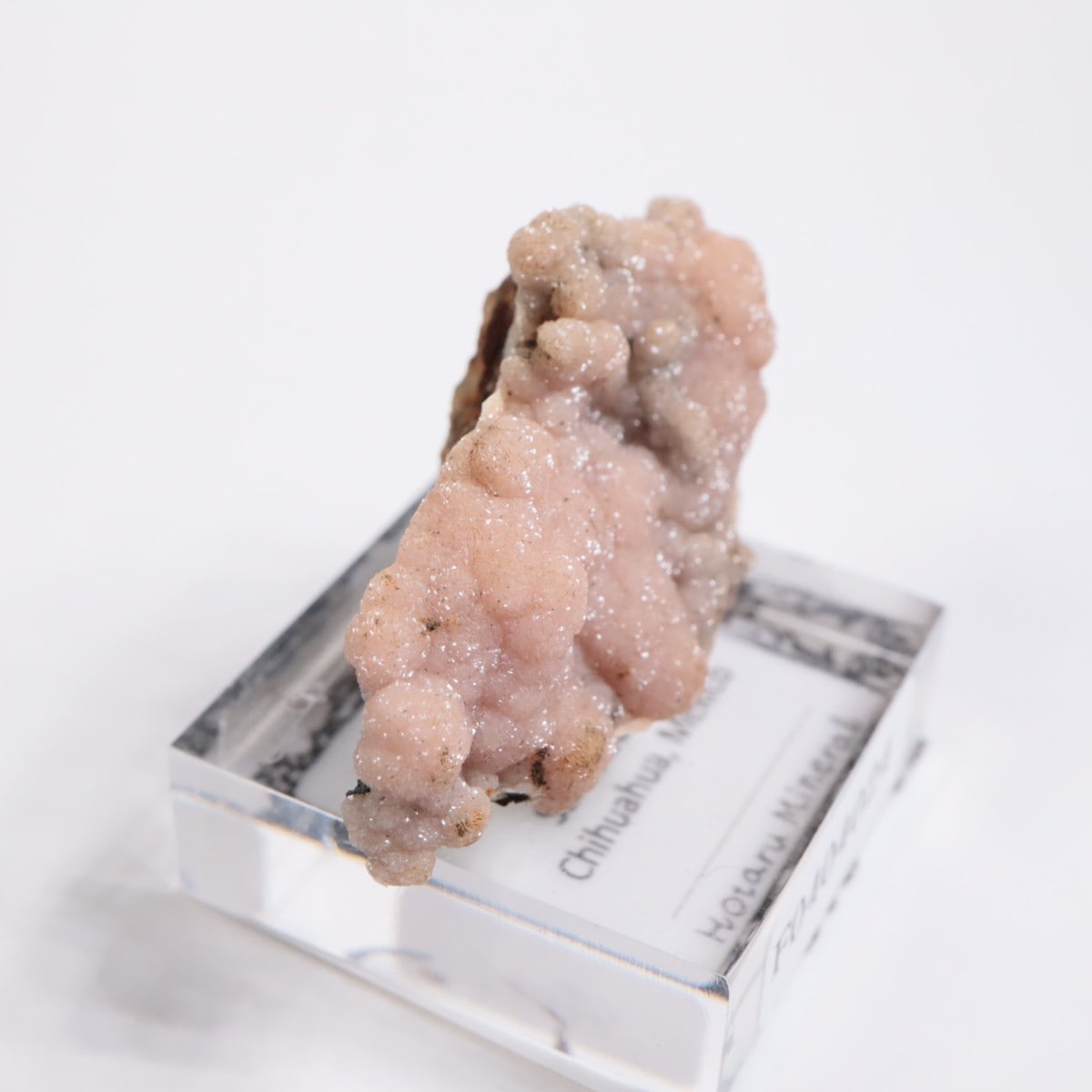 �ᥭ������ �����ɥ���������