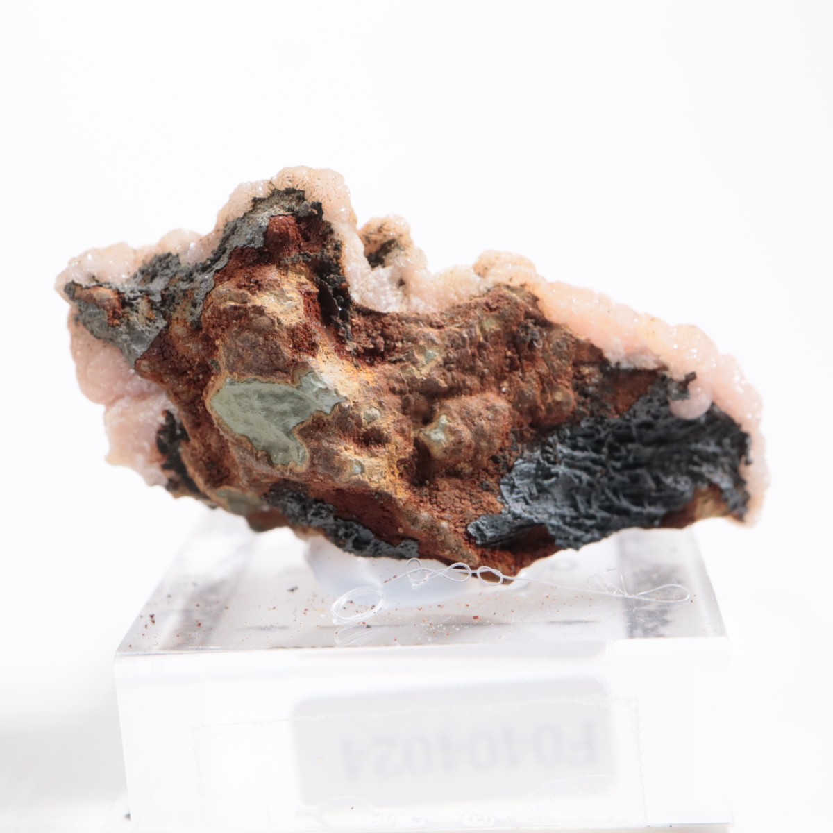 �ᥭ������ �����ɥ���������