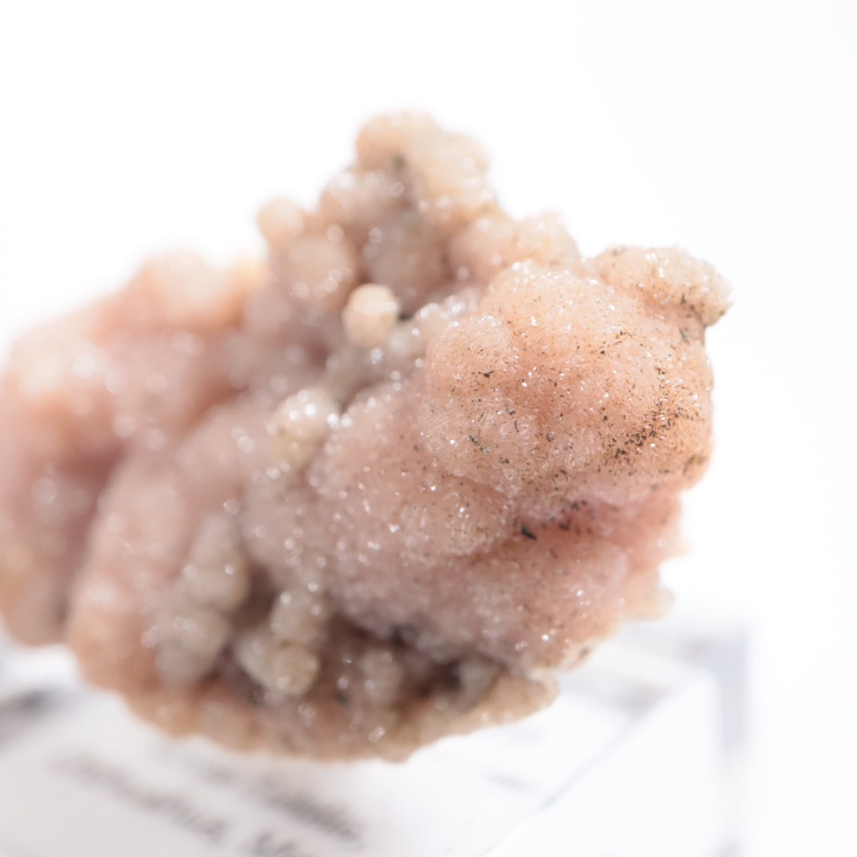 �ᥭ������ �����ɥ���������