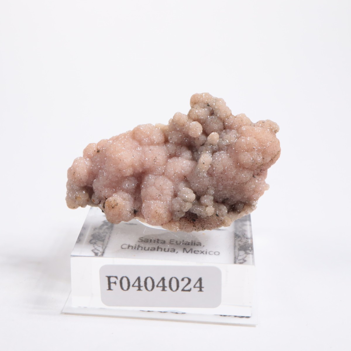 �ᥭ������ �����ɥ���������