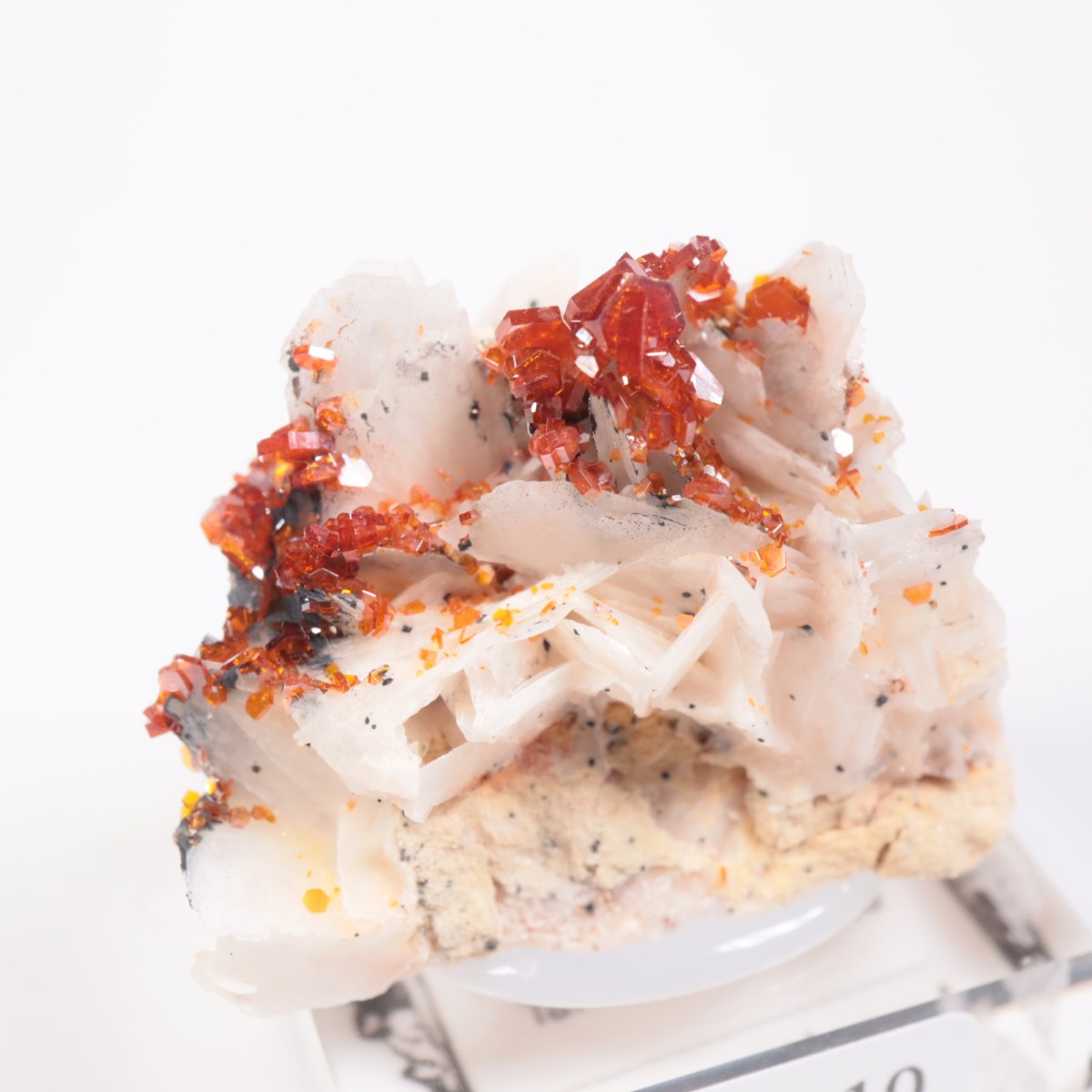 ����å������Хʥǥ��ʥ���