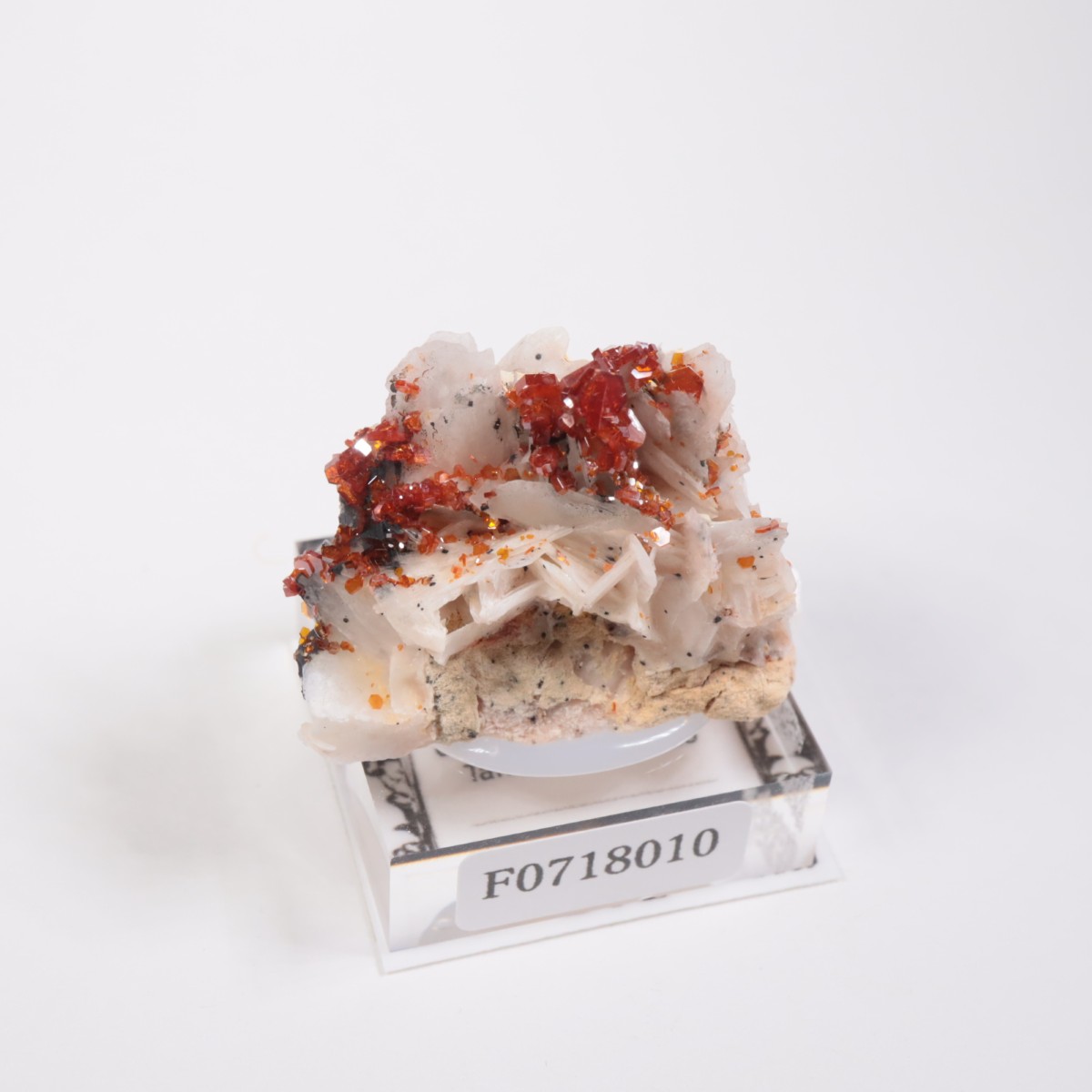 ����å������Хʥǥ��ʥ���