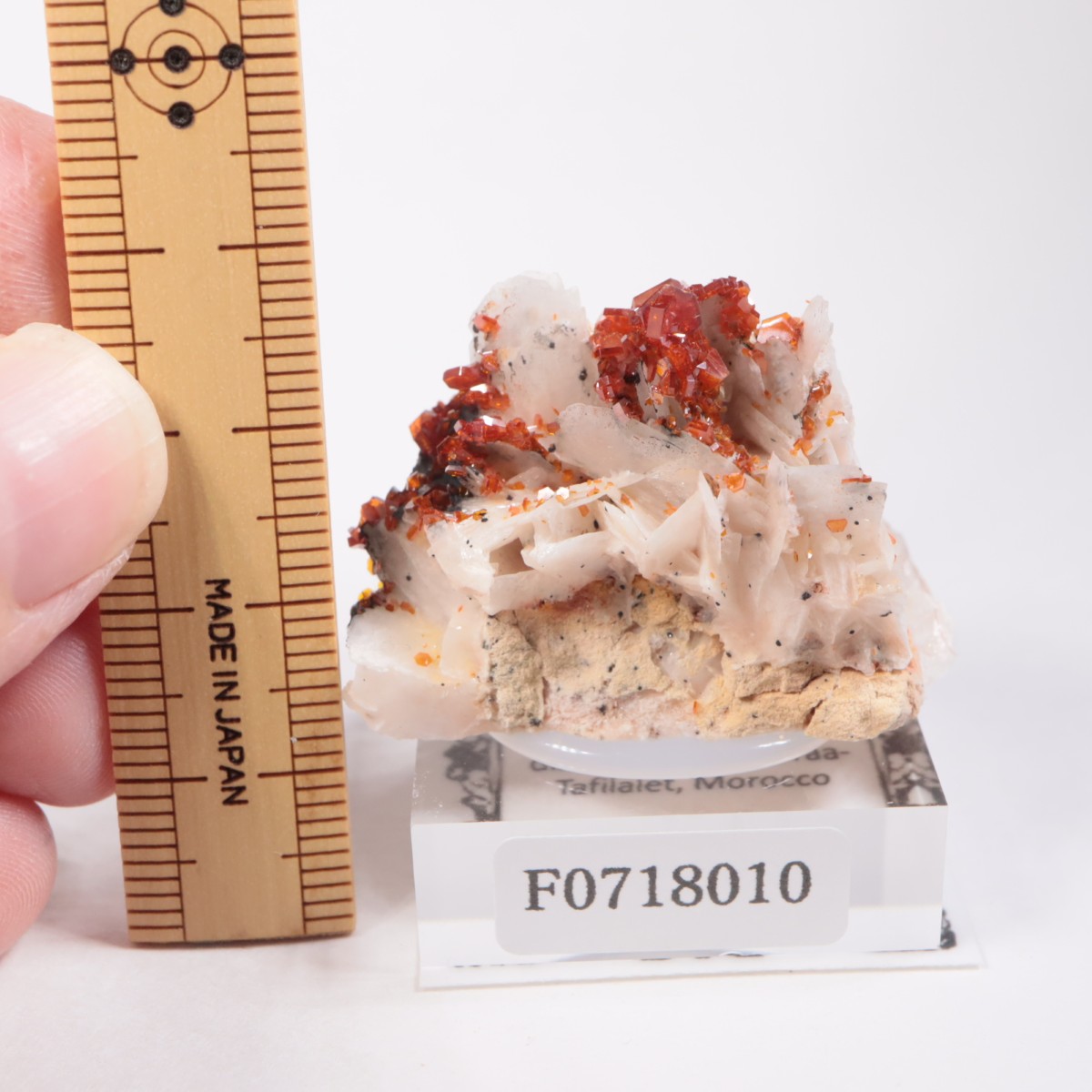 ����å������Хʥǥ��ʥ���