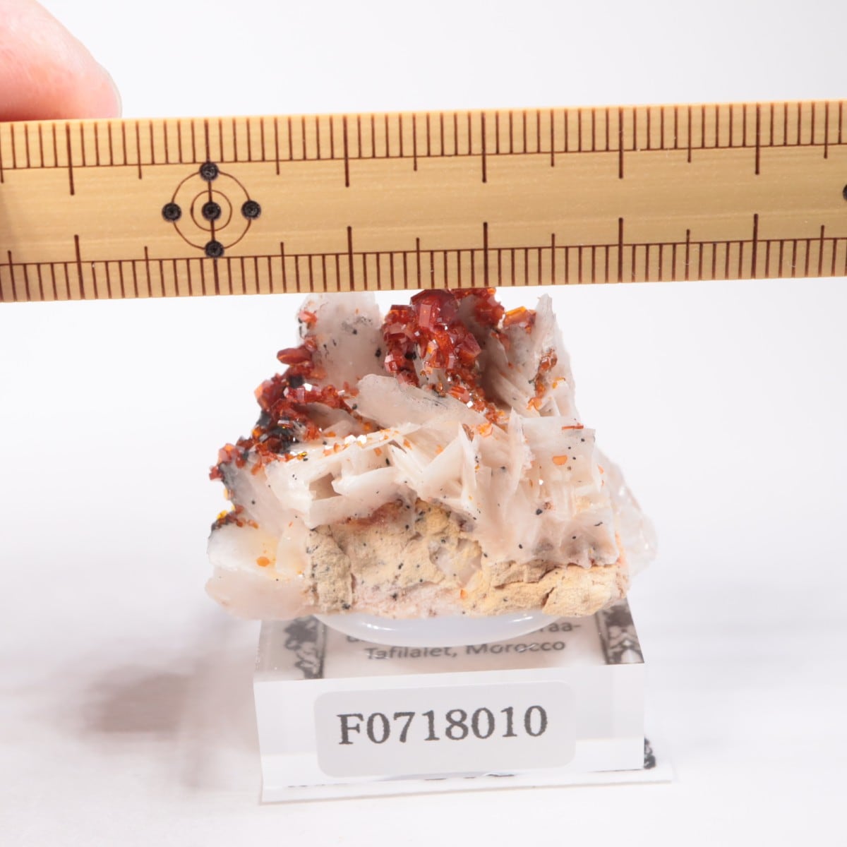 ����å������Хʥǥ��ʥ���