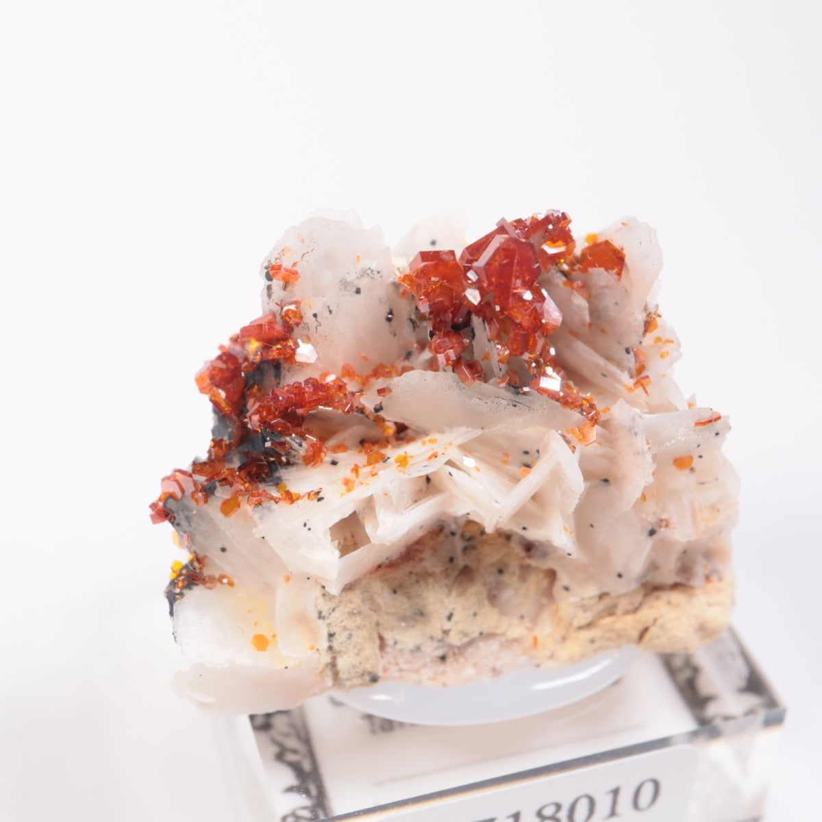 ����å������Хʥǥ��ʥ���