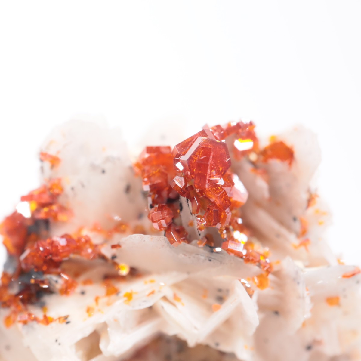 ����å������Хʥǥ��ʥ���