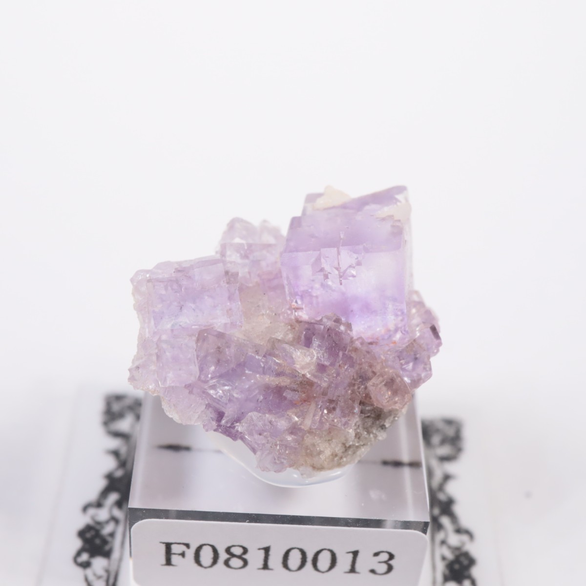 ���ڥ��� �ե����饤��