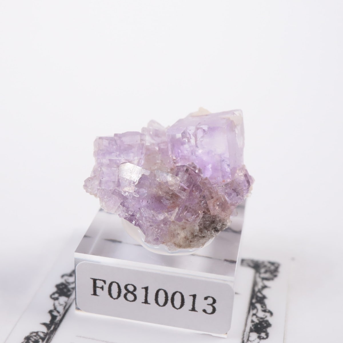 ���ڥ��� �ե����饤��