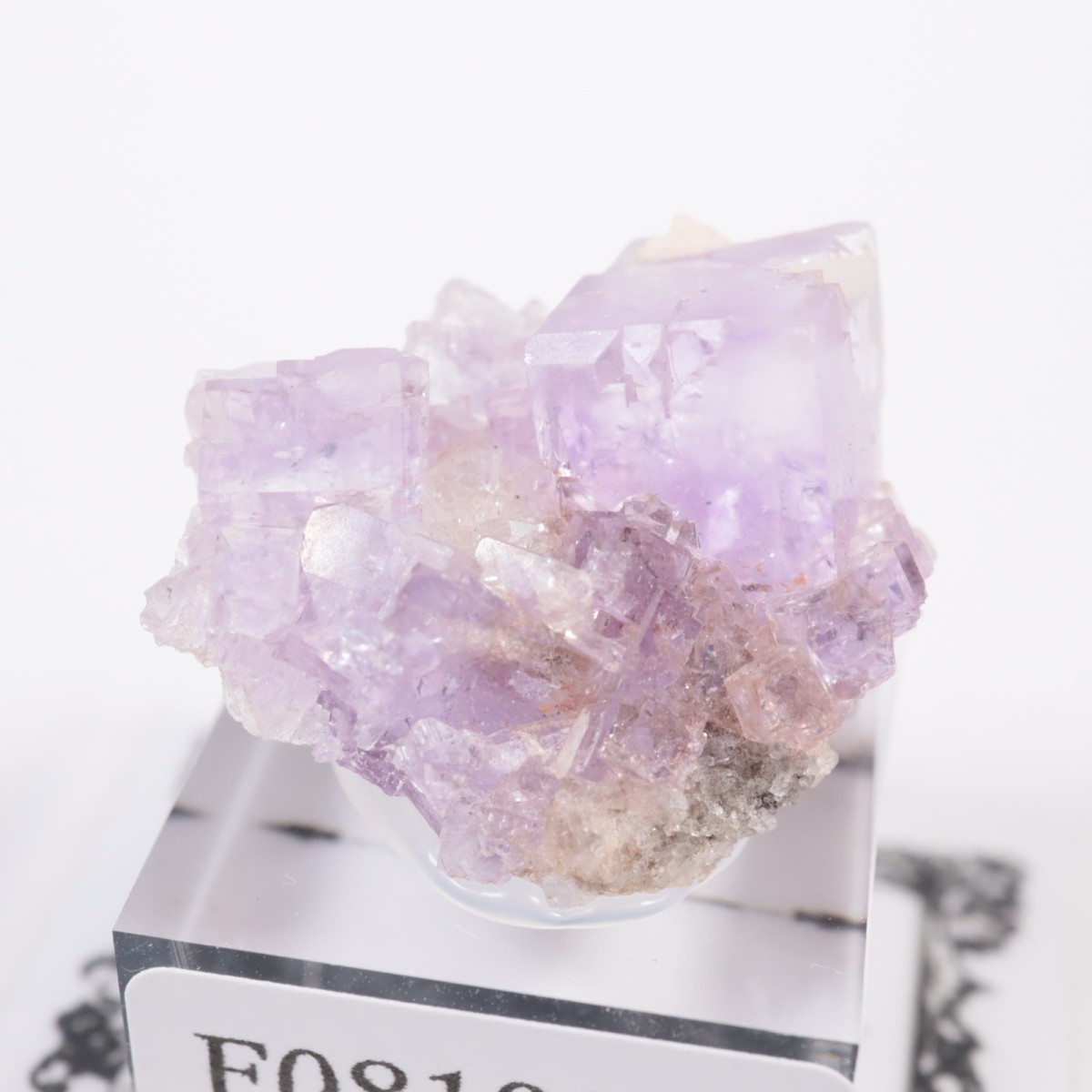 ���ڥ��� �ե����饤��