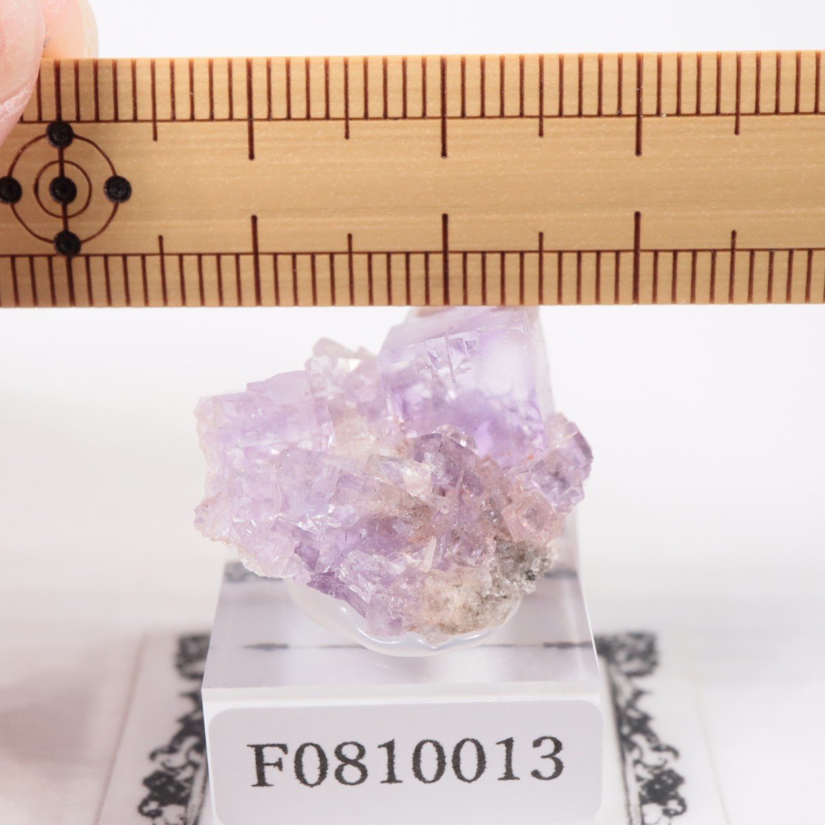 ���ڥ��� �ե����饤��