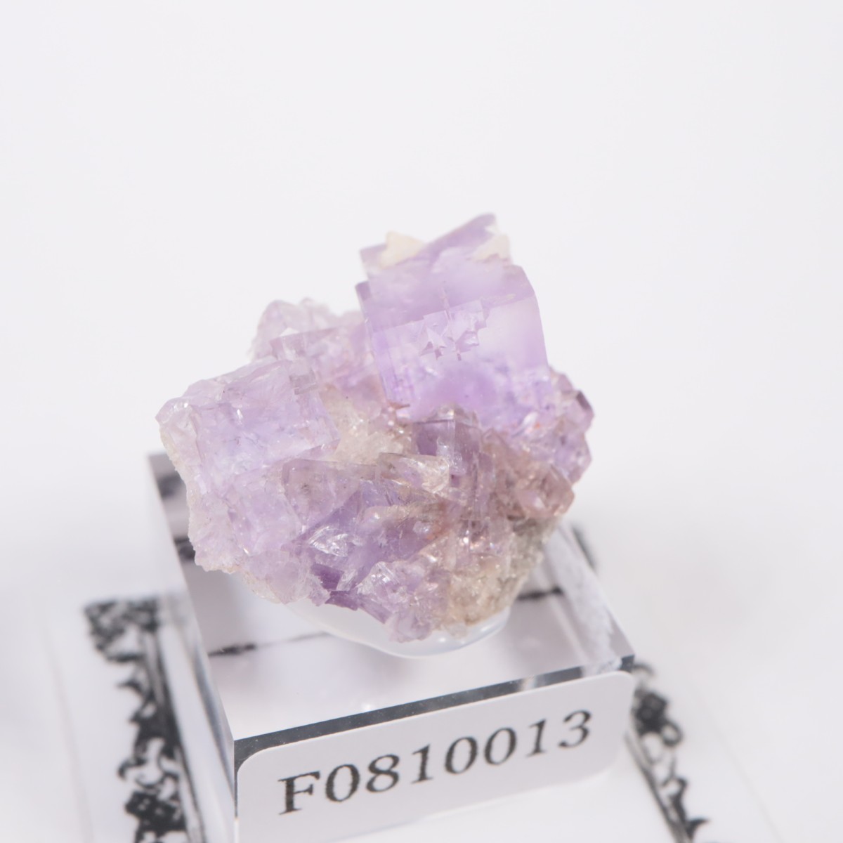 ���ڥ��� �ե����饤��