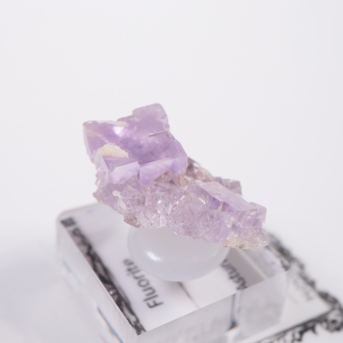 ���ڥ��� �ե����饤��