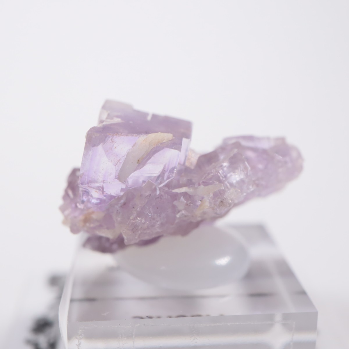 ���ڥ��� �ե����饤��