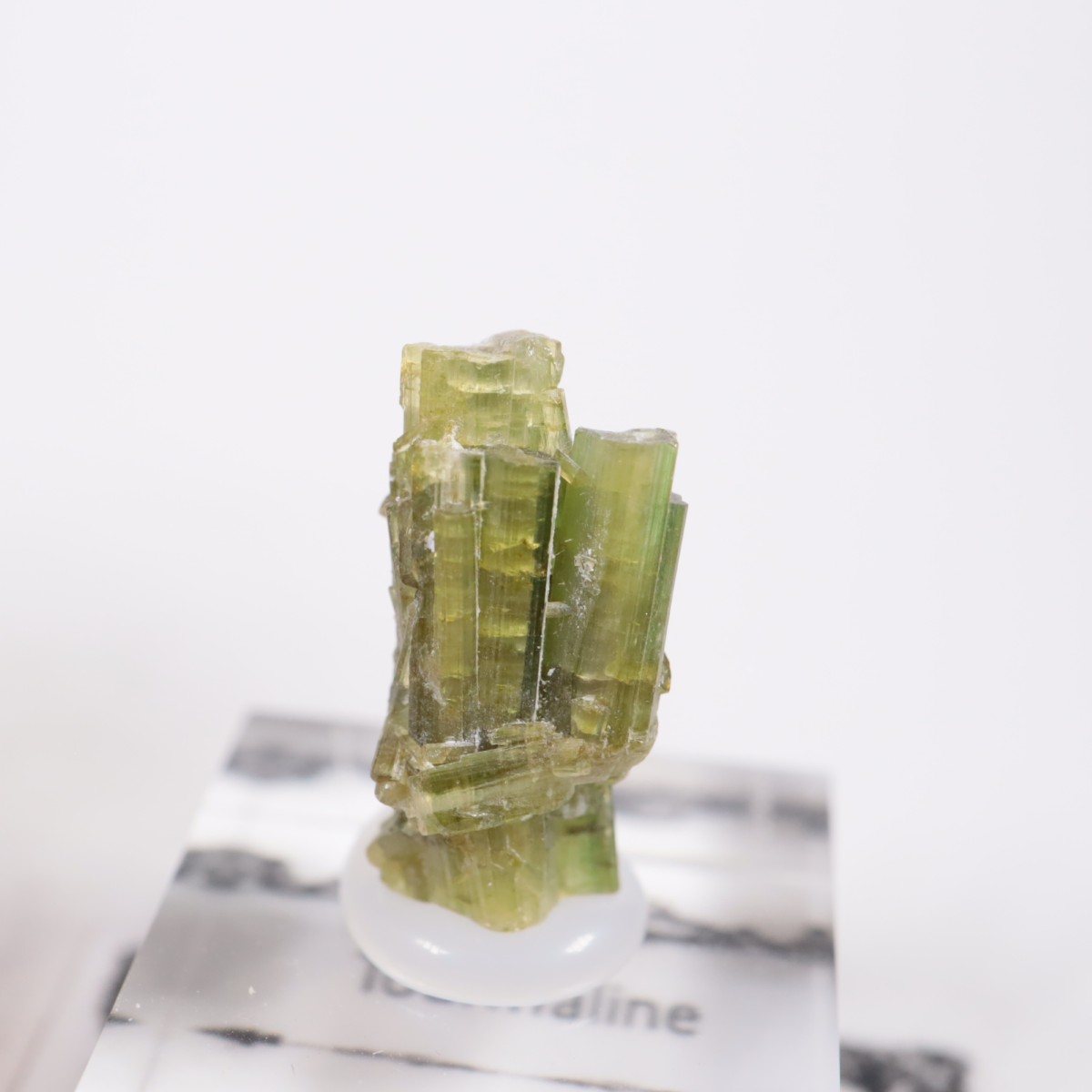 �֥饸�뻺 �ȥ�ޥ��