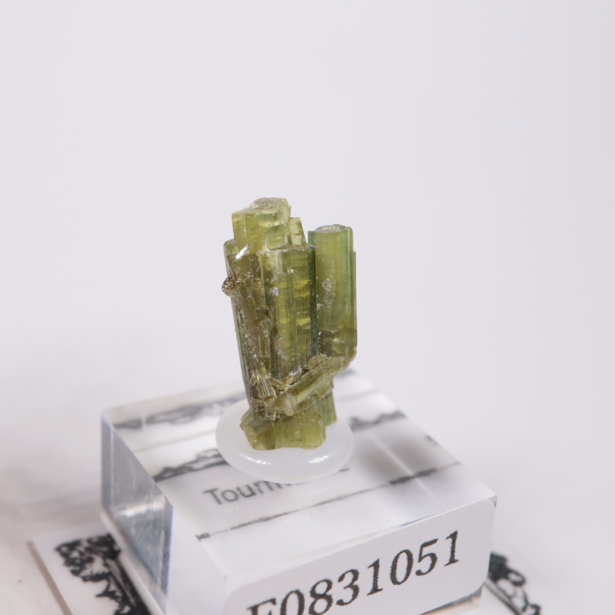 �֥饸�뻺 �ȥ�ޥ��