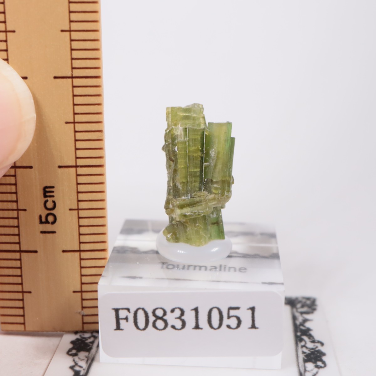 �֥饸�뻺 �ȥ�ޥ��