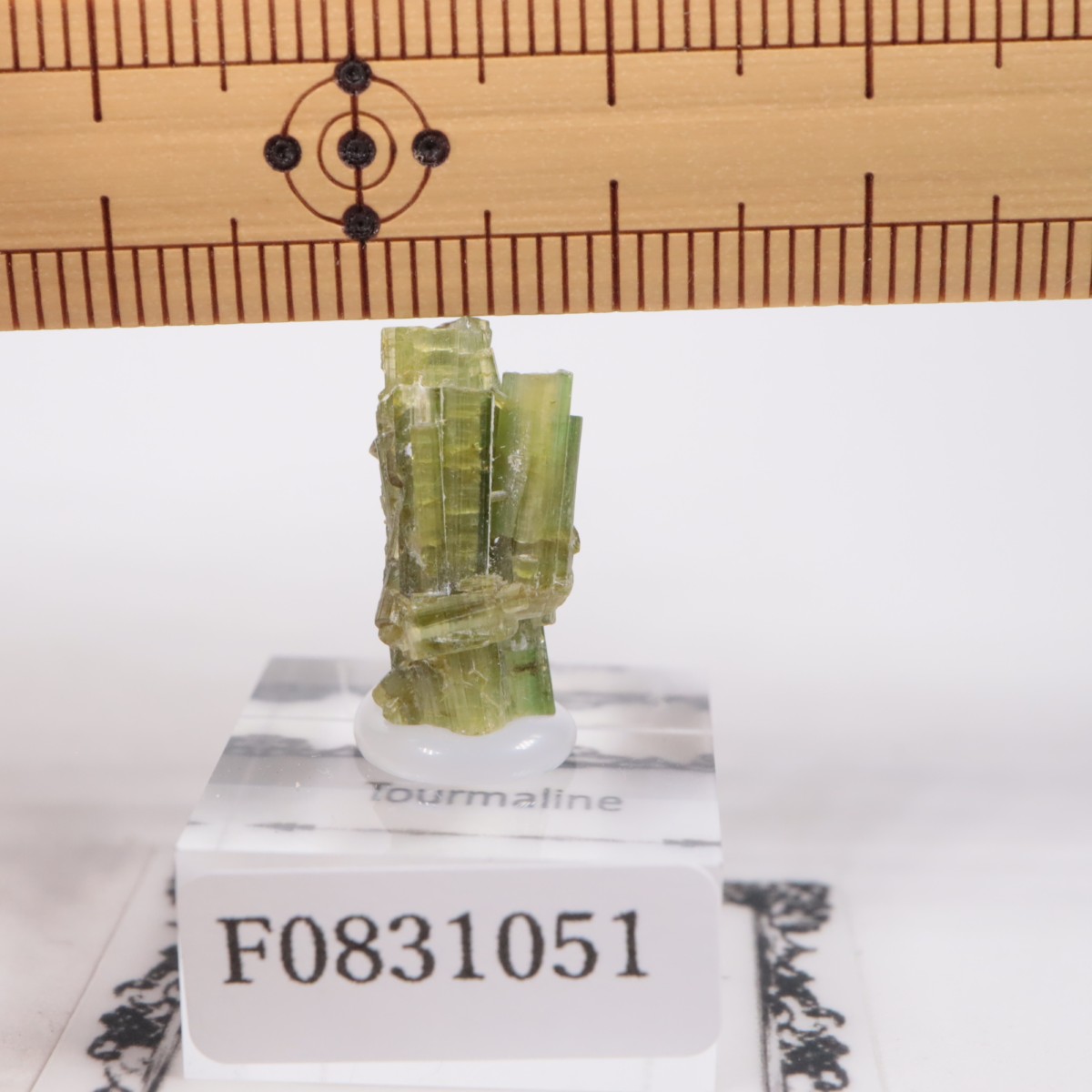 �֥饸�뻺 �ȥ�ޥ��